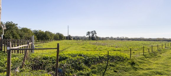 1545m² Land in Loule, Portugal No. 146188 13