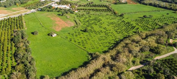 1545m² Land in Loule, Portugal No. 146188 16