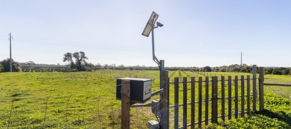 1545m² Land in Loule, Portugal No. 146188 14