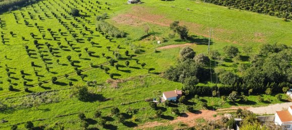 1545m² Land in Loule, Portugal No. 146188 8