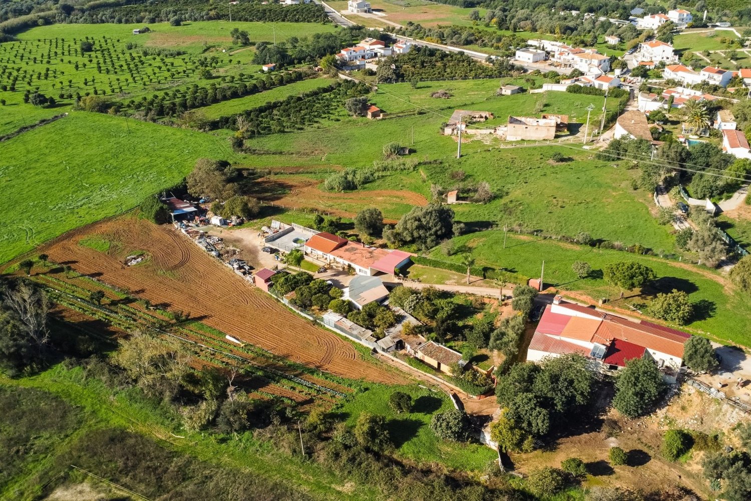 1545m² Land in Loule, Portugal No. 146188