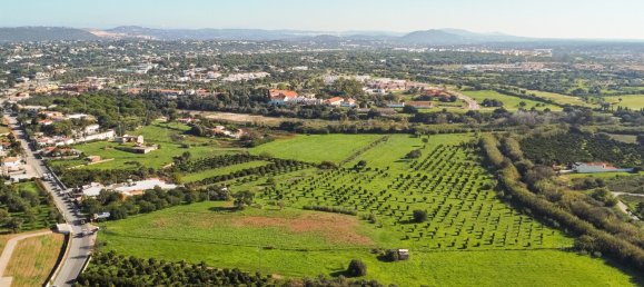 1545m² Land in Loule, Portugal No. 146188 4
