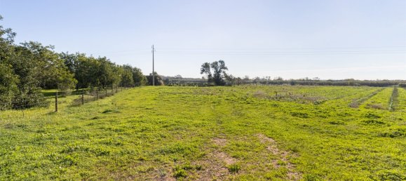 1545m² Land in Loule, Portugal No. 146188 19