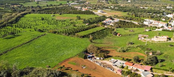 1545m² Land in Loule, Portugal No. 146188 11