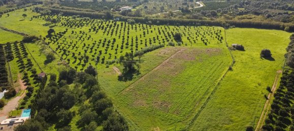 1545m² Land in Loule, Portugal No. 146188 6