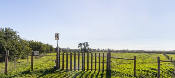 1545m² Land in Loule, Portugal No. 146188 18