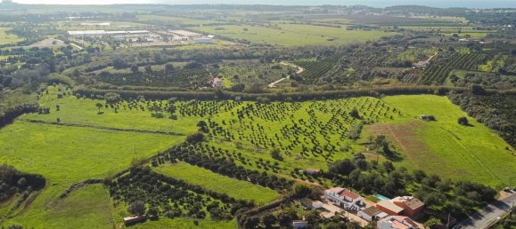 1545m² Land in Loule, Portugal No. 146188 3