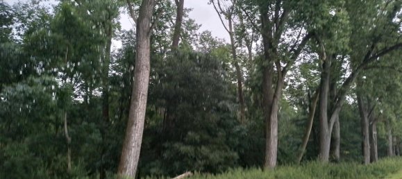  Land in Mansfeld-Sudharz, Germany No. 328173 2