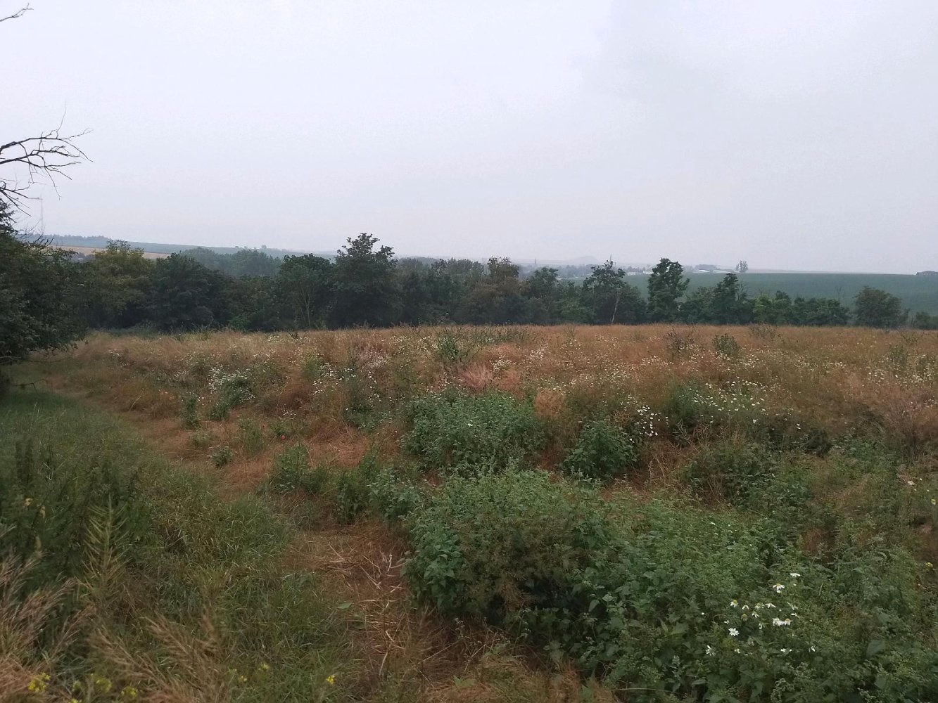  Land in Mansfeld-Sudharz, Germany No. 328173