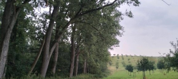  Land in Mansfeld-Sudharz, Germany No. 328173 3