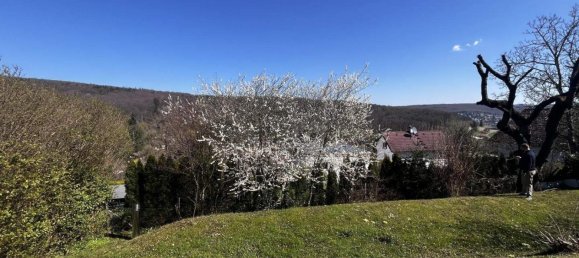 7-Zimmer Haus in Gablitz, Austria, Nr. 134788 5