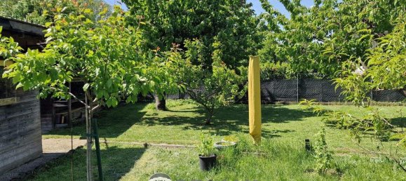 5-salle Maison à Weikendorf, Austria No. 132350 45