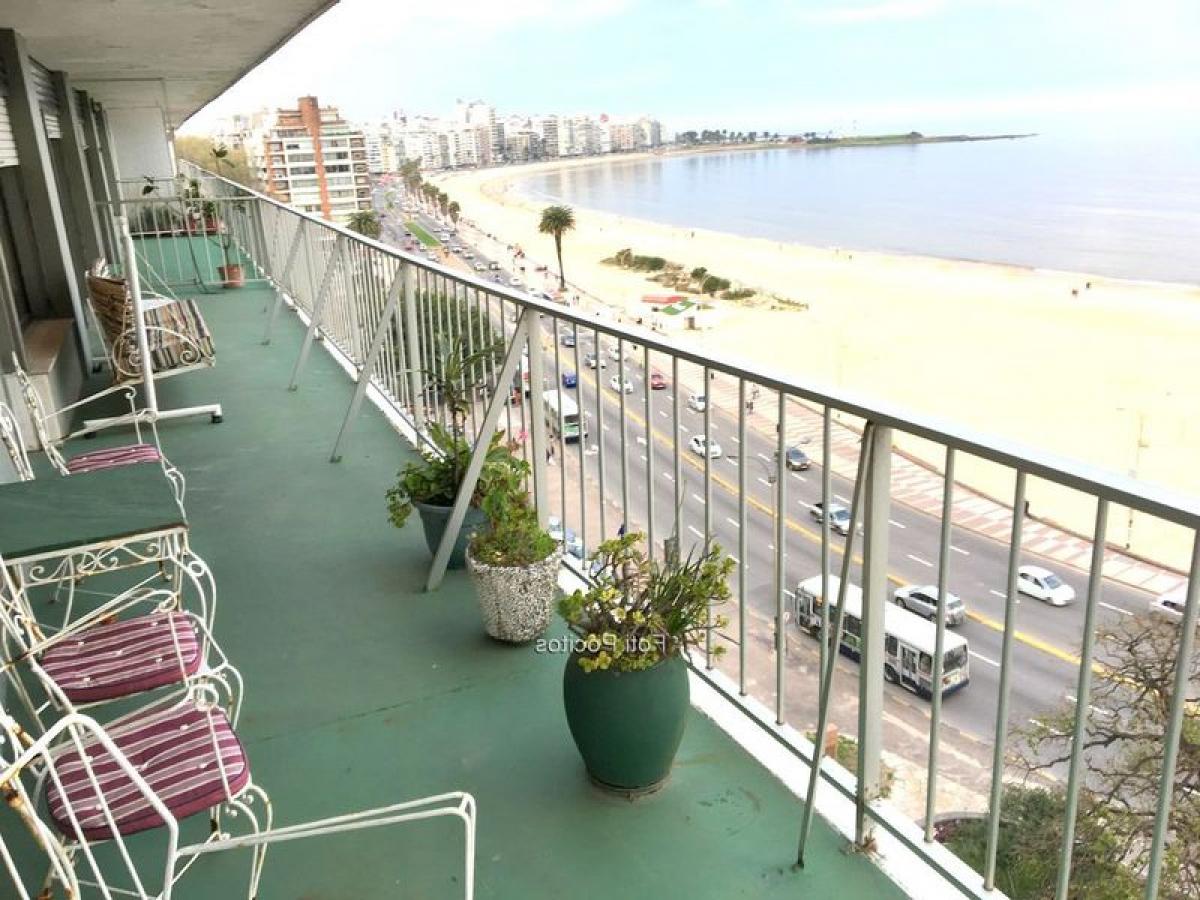 Квартира с 2 спальнями в Монтевидео, Уругвай № 4063