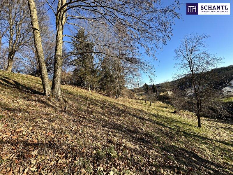  قطعة أرض في Fernitz-Mellach, Austria 2949متر مربع رقم 146685