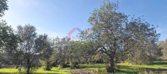 2432m² Land in Sao Bras de Alportel, Portugal No. 35251 12