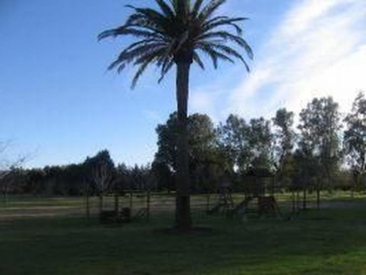 Terrain à Canuelas, Argentina No. 47451