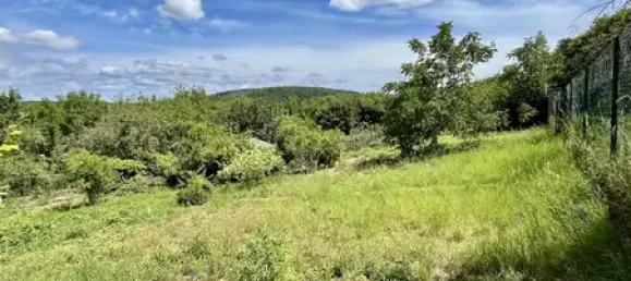 Дом с 4 спальнями в Мерциг-Вадерн, Германия № 255762 22