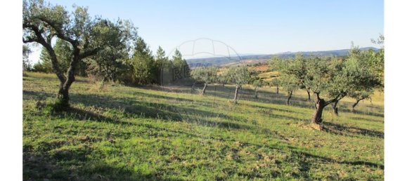 9 bedrooms House in Perais, Portugal No. 62578 15