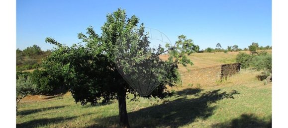 9 bedrooms House in Perais, Portugal No. 62578 17