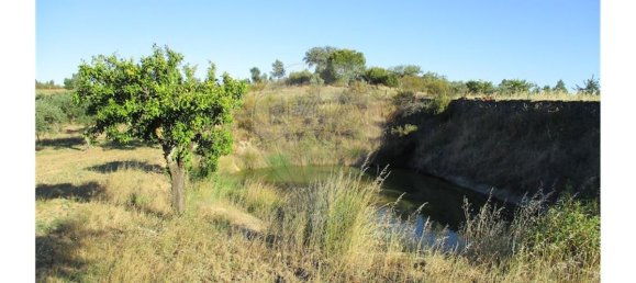 9 bedrooms House in Perais, Portugal No. 62578 16