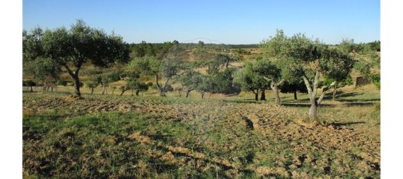 9 bedrooms House in Perais, Portugal No. 62578 35