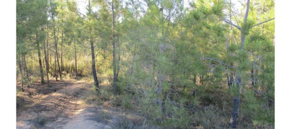 9 bedrooms House in Perais, Portugal No. 62578 32