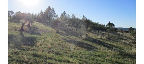 9 bedrooms House in Perais, Portugal No. 62578 20