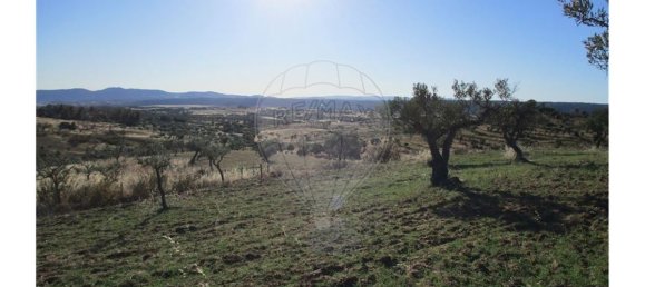 9 bedrooms House in Perais, Portugal No. 62578 12