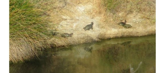 9 bedrooms House in Perais, Portugal No. 62578 3