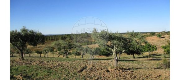 9 bedrooms House in Perais, Portugal No. 62578 14