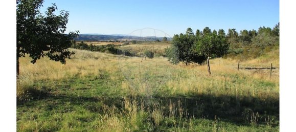 9 bedrooms House in Perais, Portugal No. 62578 22