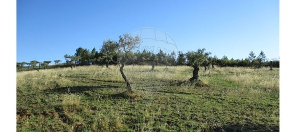 9 bedrooms House in Perais, Portugal No. 62578 27