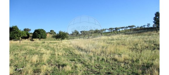 9 bedrooms House in Perais, Portugal No. 62578 25