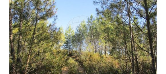 9 bedrooms House in Perais, Portugal No. 62578 31