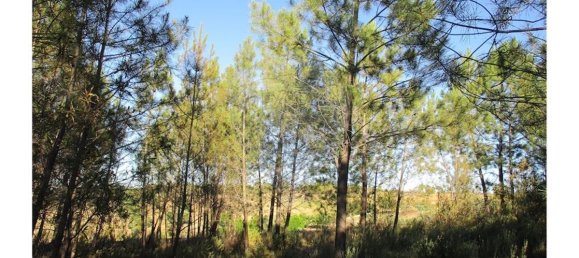 9 bedrooms House in Perais, Portugal No. 62578 30