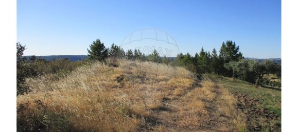 9 bedrooms House in Perais, Portugal No. 62578 13