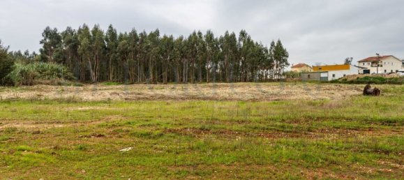  Commercial property in Mira, Portugal No. 261336 2