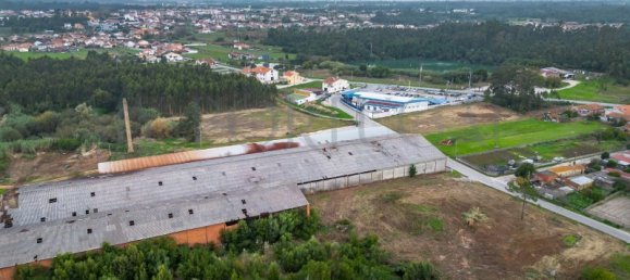  Commercial property in Mira, Portugal No. 261336 4