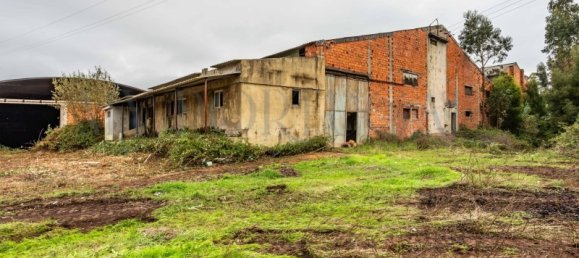  Commercial property in Mira, Portugal No. 261336 15