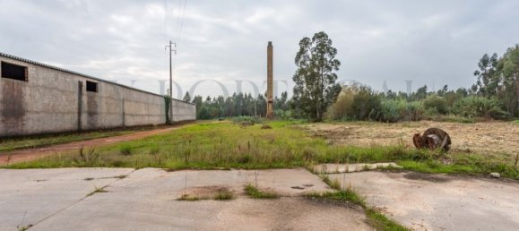  Commercial property in Mira, Portugal No. 261336 10