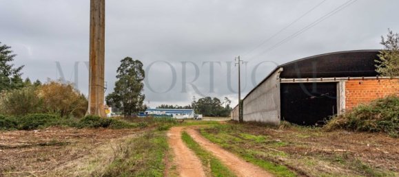  Commercial property in Mira, Portugal No. 261336 12