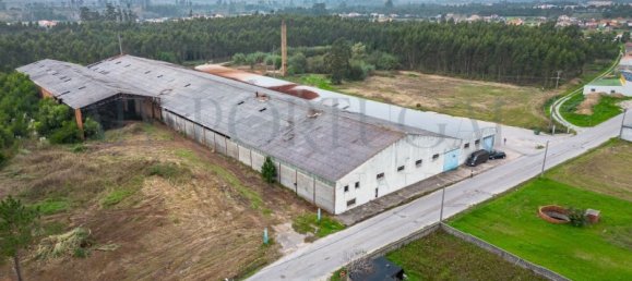  Commercial property in Mira, Portugal No. 261336 3