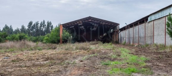  Commercial property in Mira, Portugal No. 261336 27