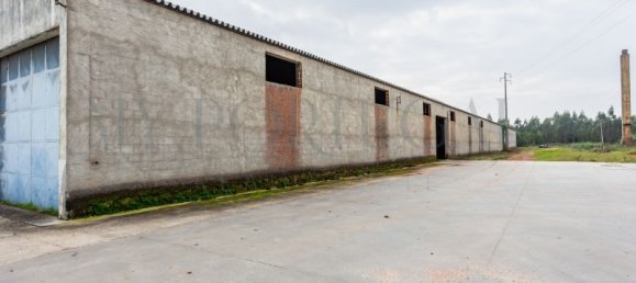  Commercial property in Mira, Portugal No. 261336 8