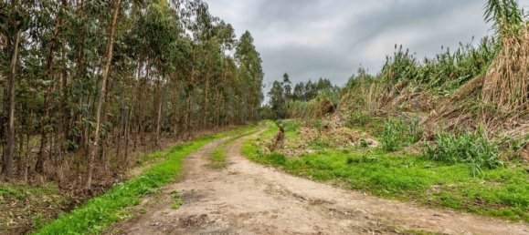  Commercial property in Mira, Portugal No. 261336 14