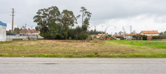  Commercial property in Mira, Portugal No. 261336 9