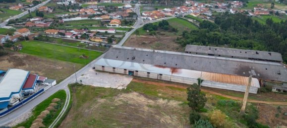  Commercial property in Mira, Portugal No. 261336 5