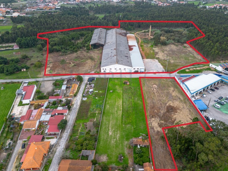  Commercial property in Mira, Portugal No. 261336