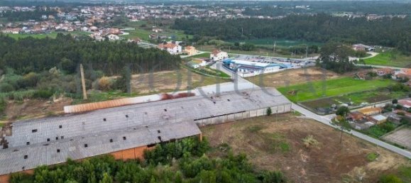  Commercial property in Mira, Portugal No. 261336 29