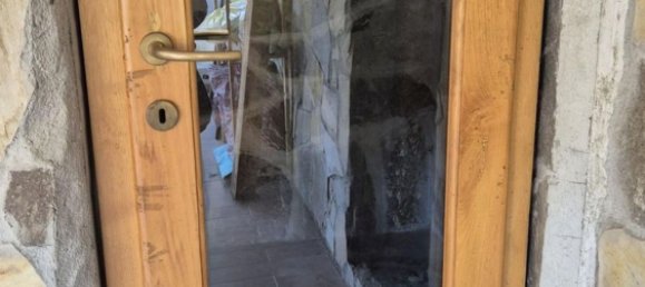 8 rooms House in Camaiore, Italy No. 51750 2